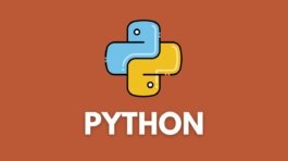 WhatsApp Image 2025 01 29 at 6.15.17 PM