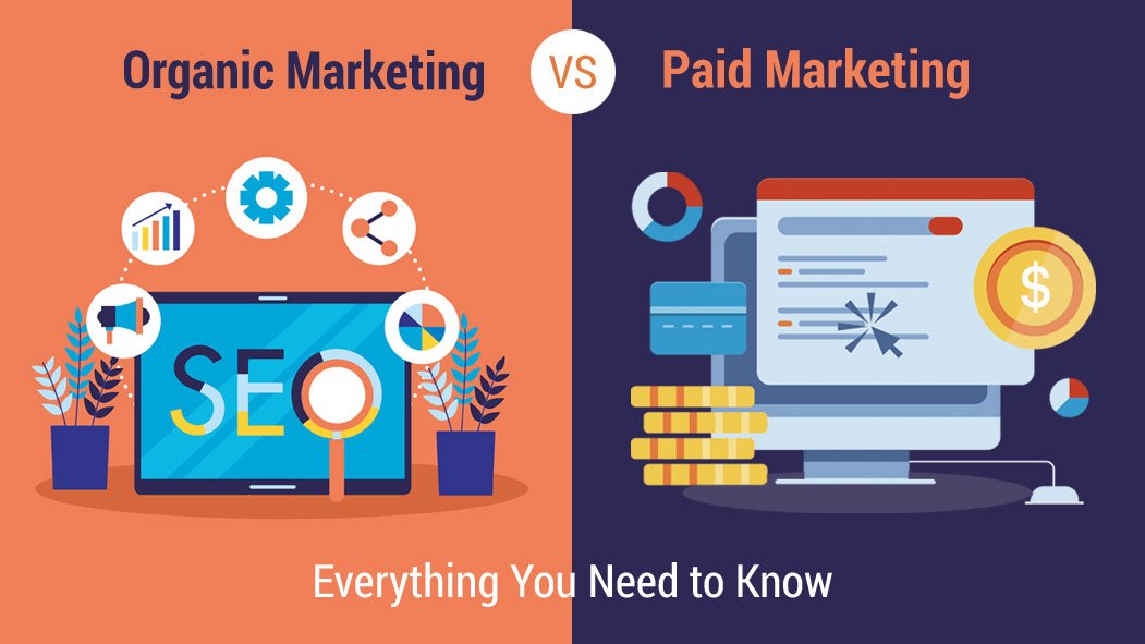 Paid vs Organic Digital Marketing: Key Differences Explained